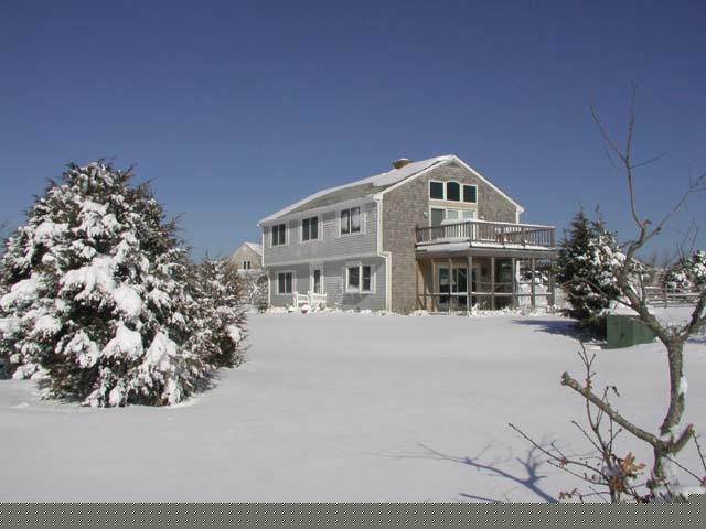Winter scene Marthas Vineyard