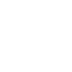 loading icon